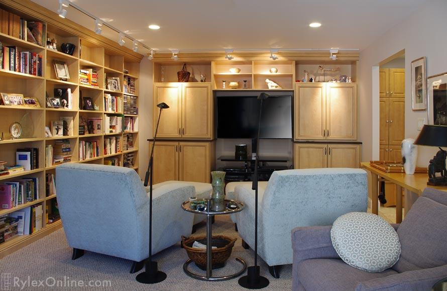 Entertainment Cabinet with Floor to Ceiling Library Shelves
