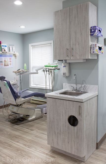 Dental Cabinet with Trash Receptacle and Sink