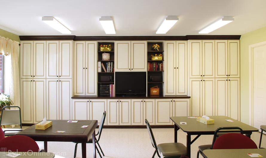 Entertainment Storage with Maximum Cabinets and for Architectural Definition Contrasting Shelves and Trim Moulding