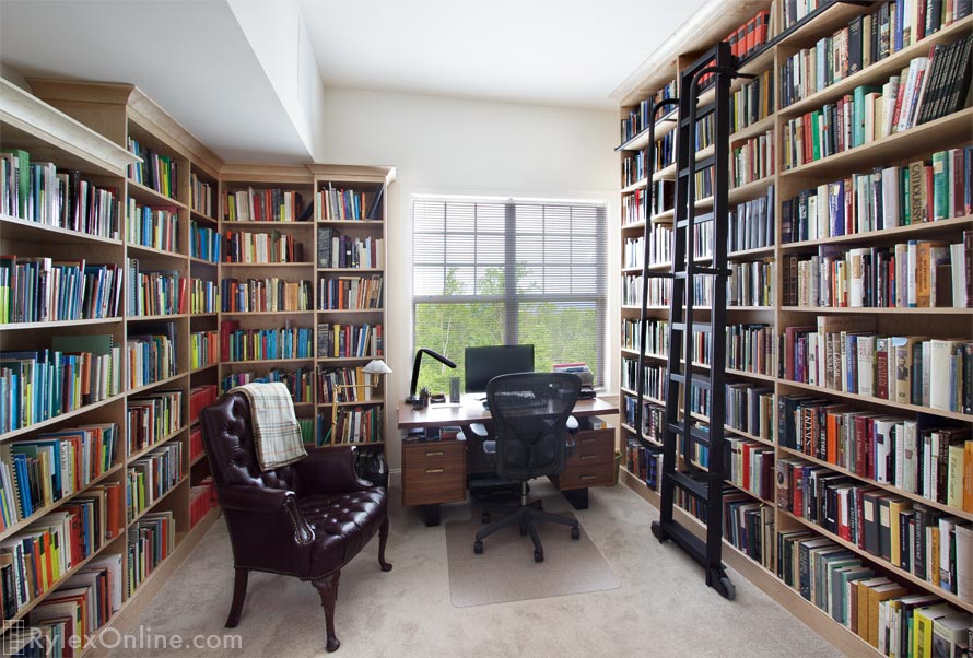 Home Library with Upper Shelves and Ladder