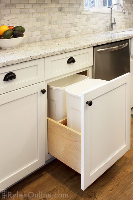 Trash and Recycling Pullout Cabinet