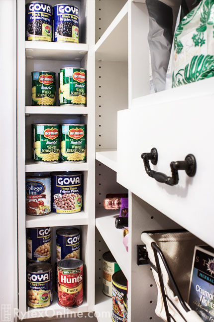 Pantry with Adjustable Shelves and Drawer
