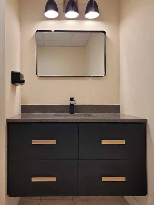 Wall Mounted Black Vanity