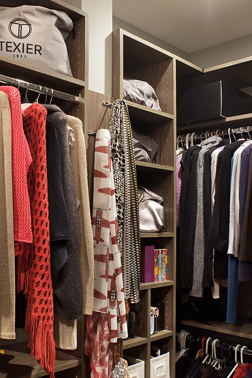 Wardrobe Accessories Storage with Adjustable Shelves