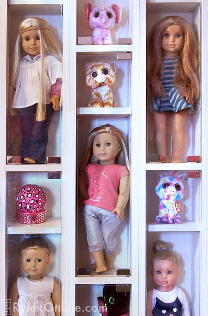Display Cases for Doll Collections Close Up