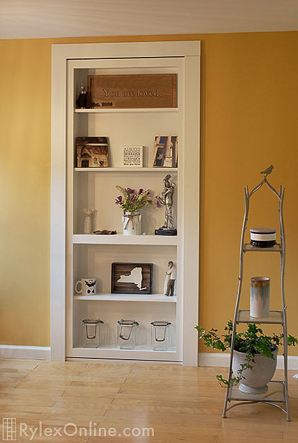 Hidden Door Bookcase