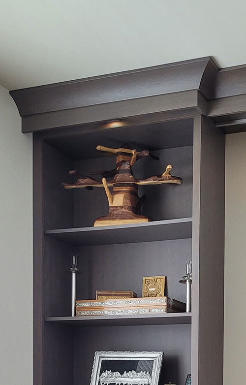 Built-In Living Room Bookcases and Display Shelves