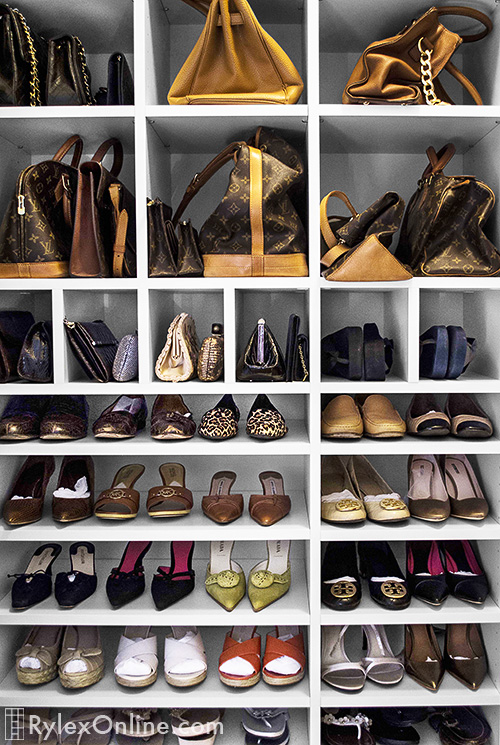 Purse and Shoe Shelving Storage