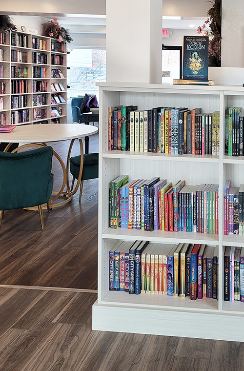 Commercial Bookcases and Cabinets for Retail Bookstore Close Up