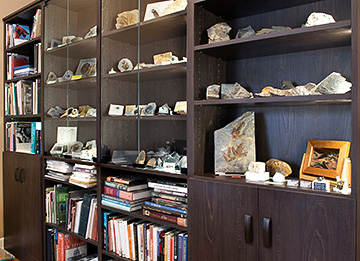 Fossil Display Office Cabinet