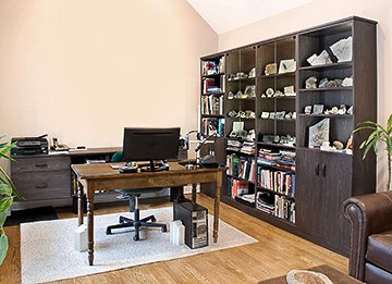 Fossil Display Office Cabinet