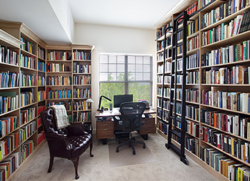 Working Library Shelves with Ladder