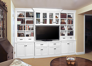 Entertainment Center with Media Storage